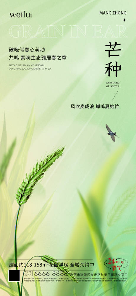 源文件下载【小清新光影芒种海报】编号：13400030912436235