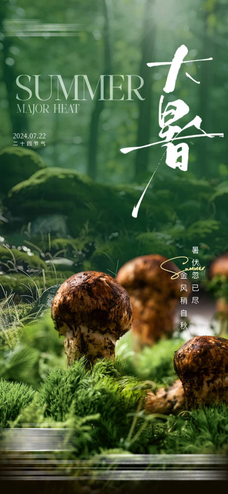 大暑海报 