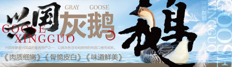 兴国灰鹅海报