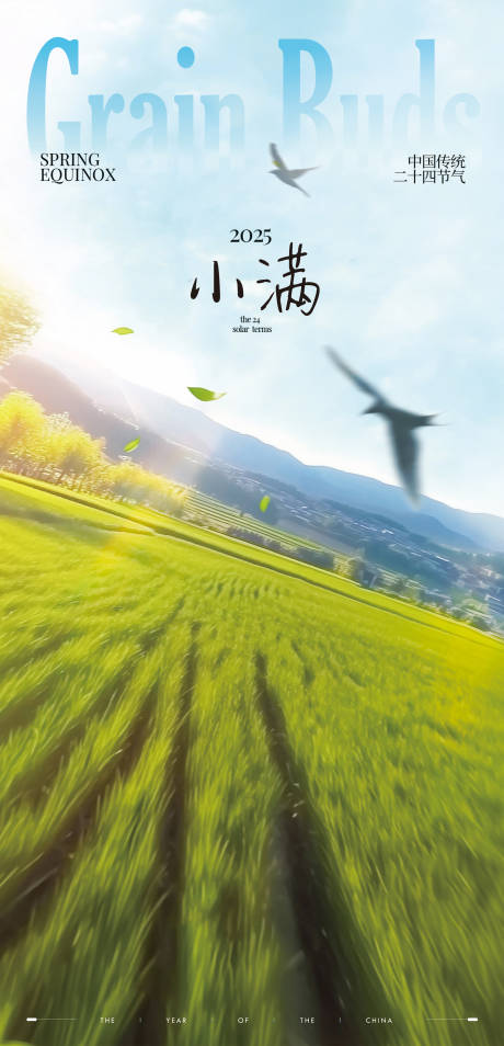 源文件下载【小满节气海报】编号：53490030779836435
