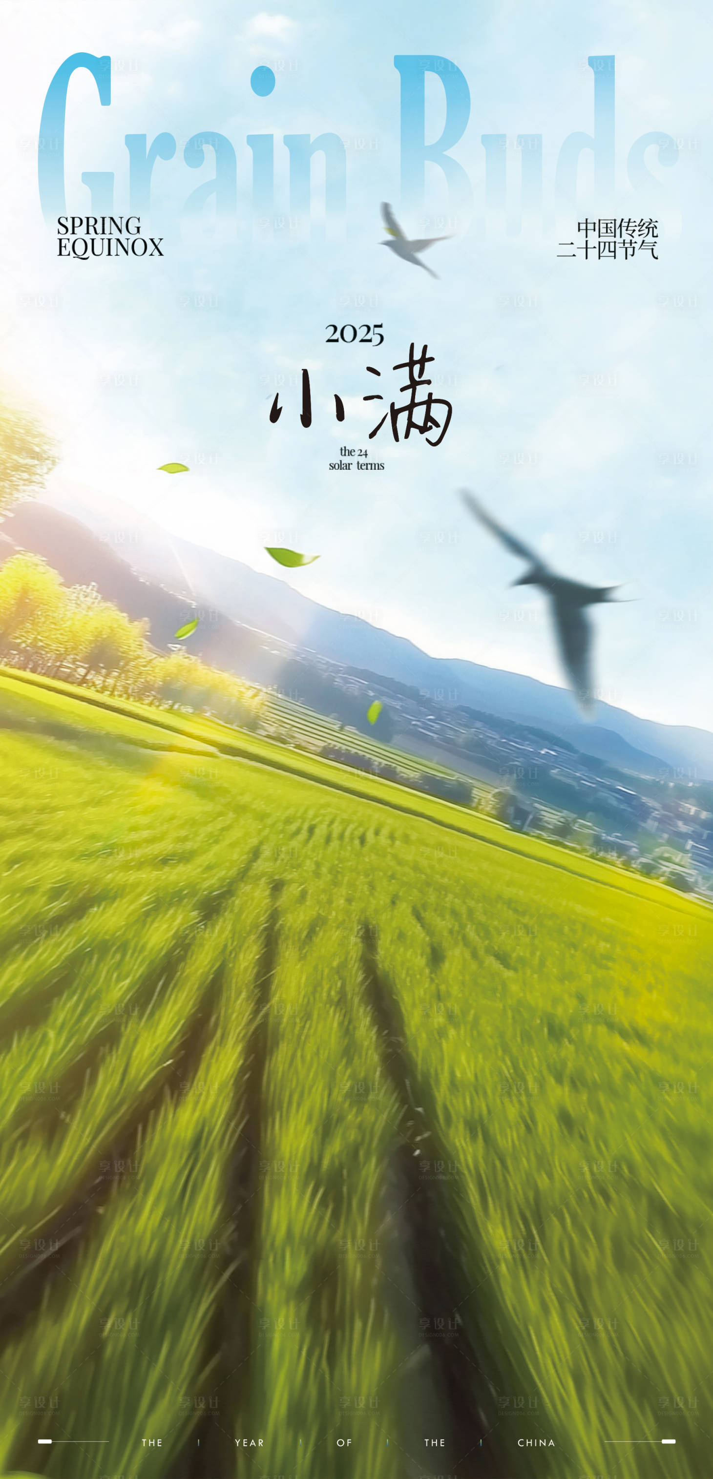 源文件下载【小满节气海报】编号：53490030779836435