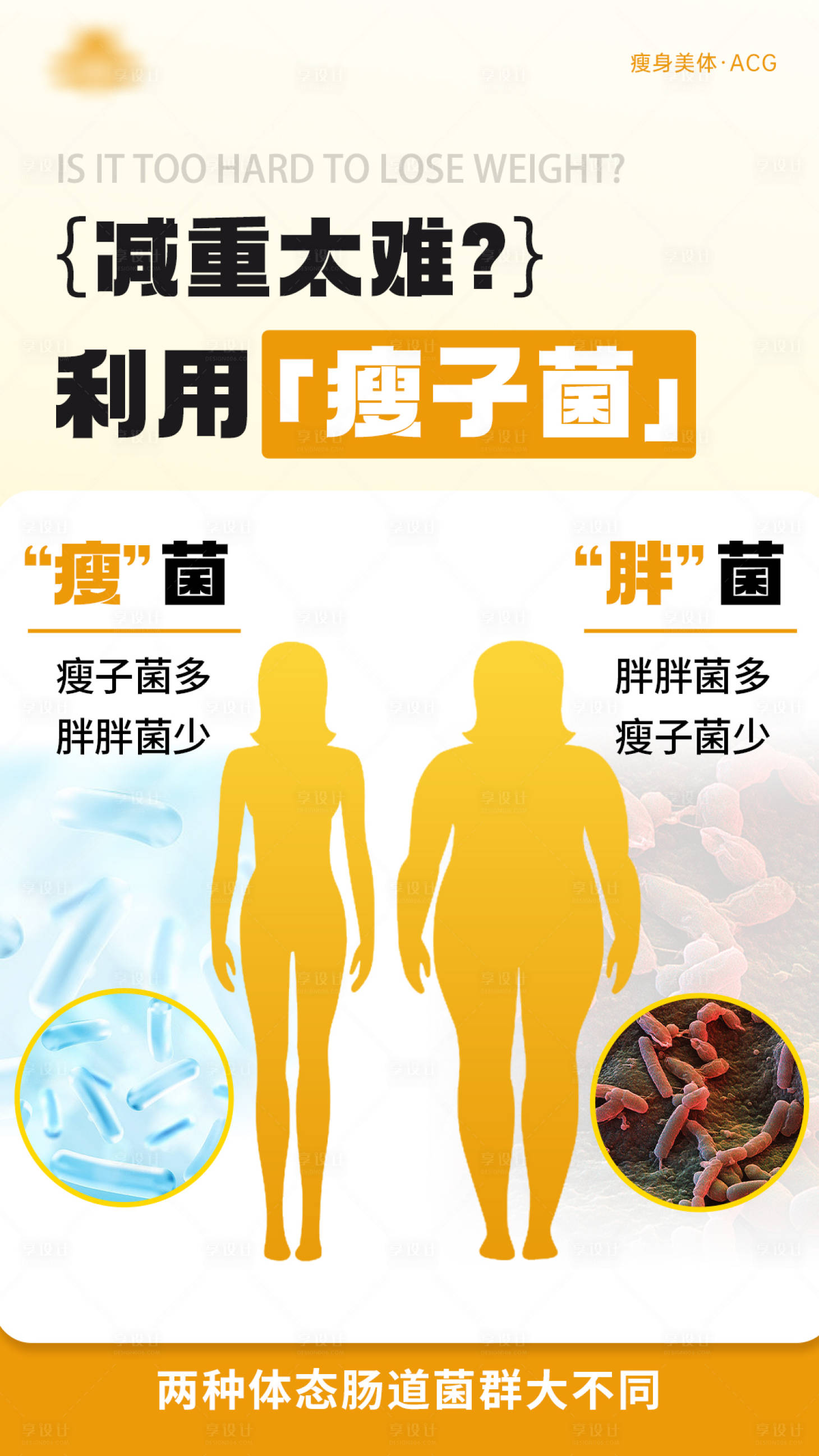 源文件下载【享设计】搜索编号：71890030814253949【减肥瘦身科普海报】