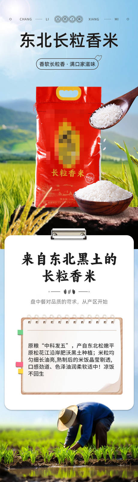 源文件下载【长粒香大米促销电商详情】编号：85900030715272171