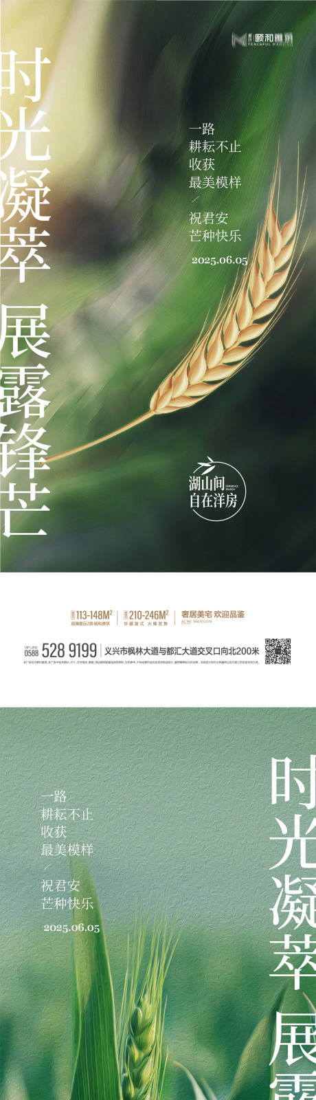 芒种24节气节日海报