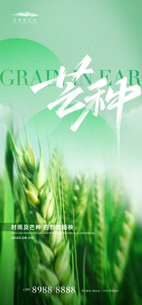 源文件下载【芒种节气海报】编号：91710031024612244