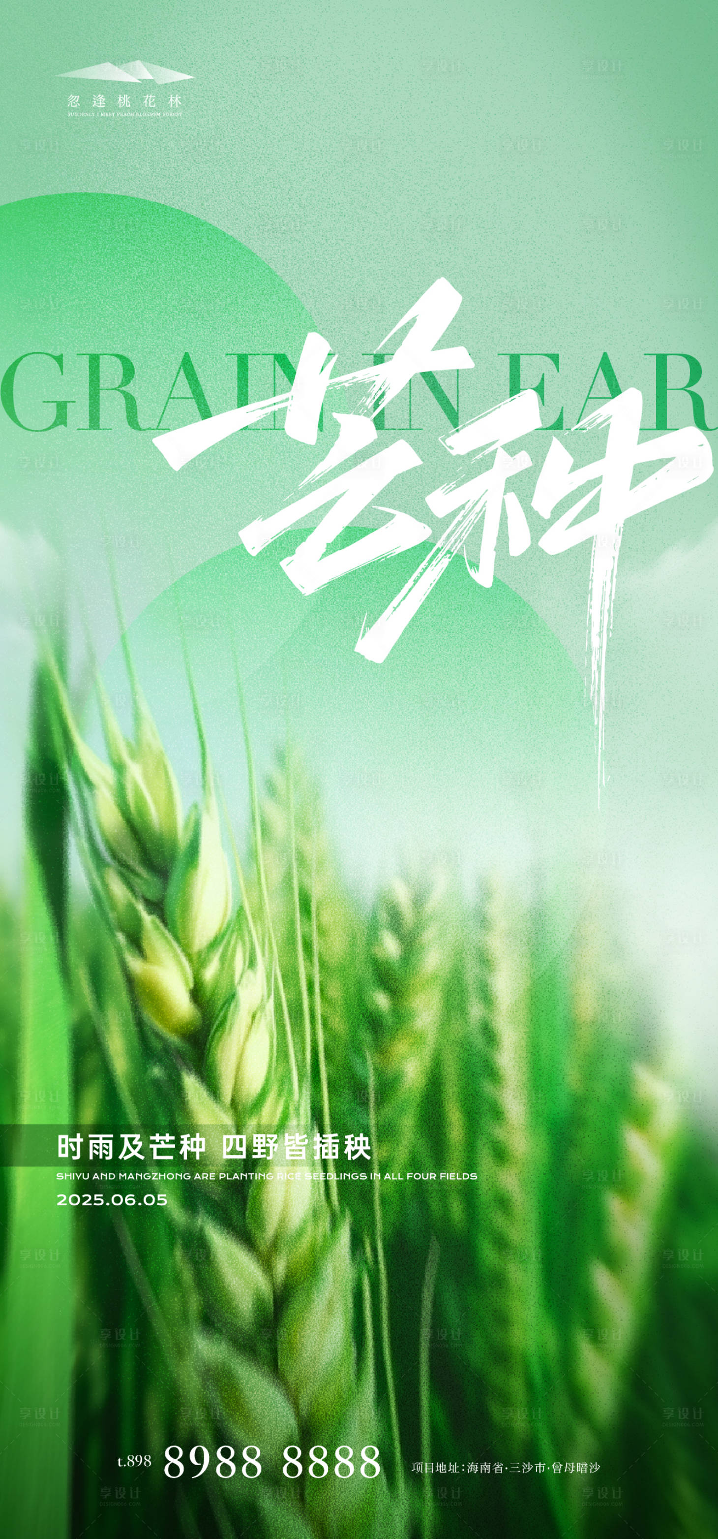 源文件下載【芒種節氣海報】編號：91710031024612244