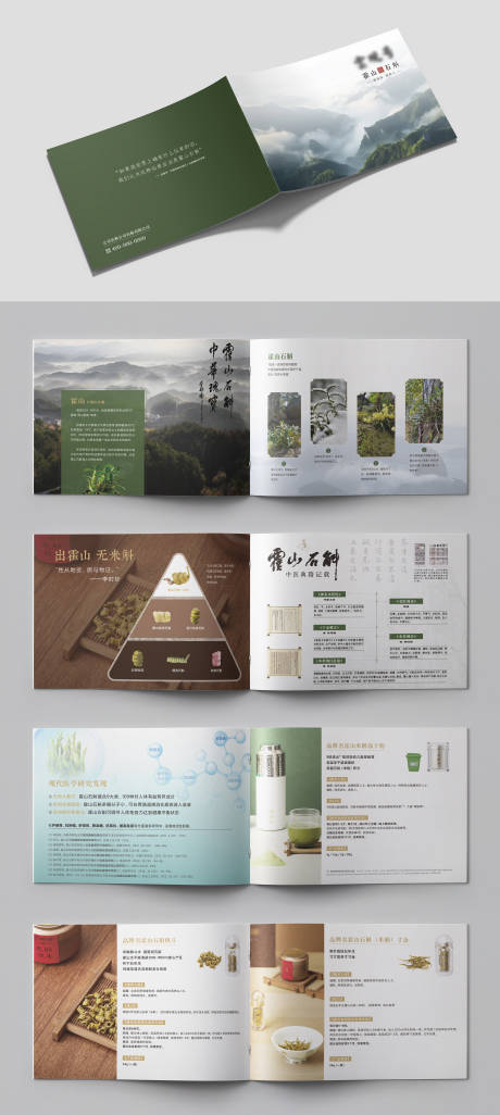 源文件下載【享設計】搜索編號：51240030950632434【霍山石斛宣傳冊】