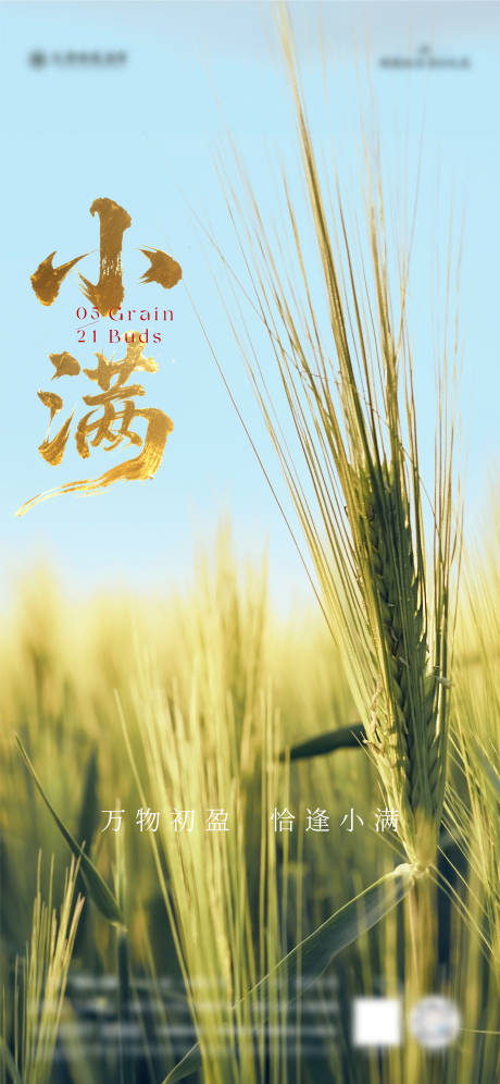 源文件下載【享設計】搜索編號：19780030776906952【小滿節氣海報】