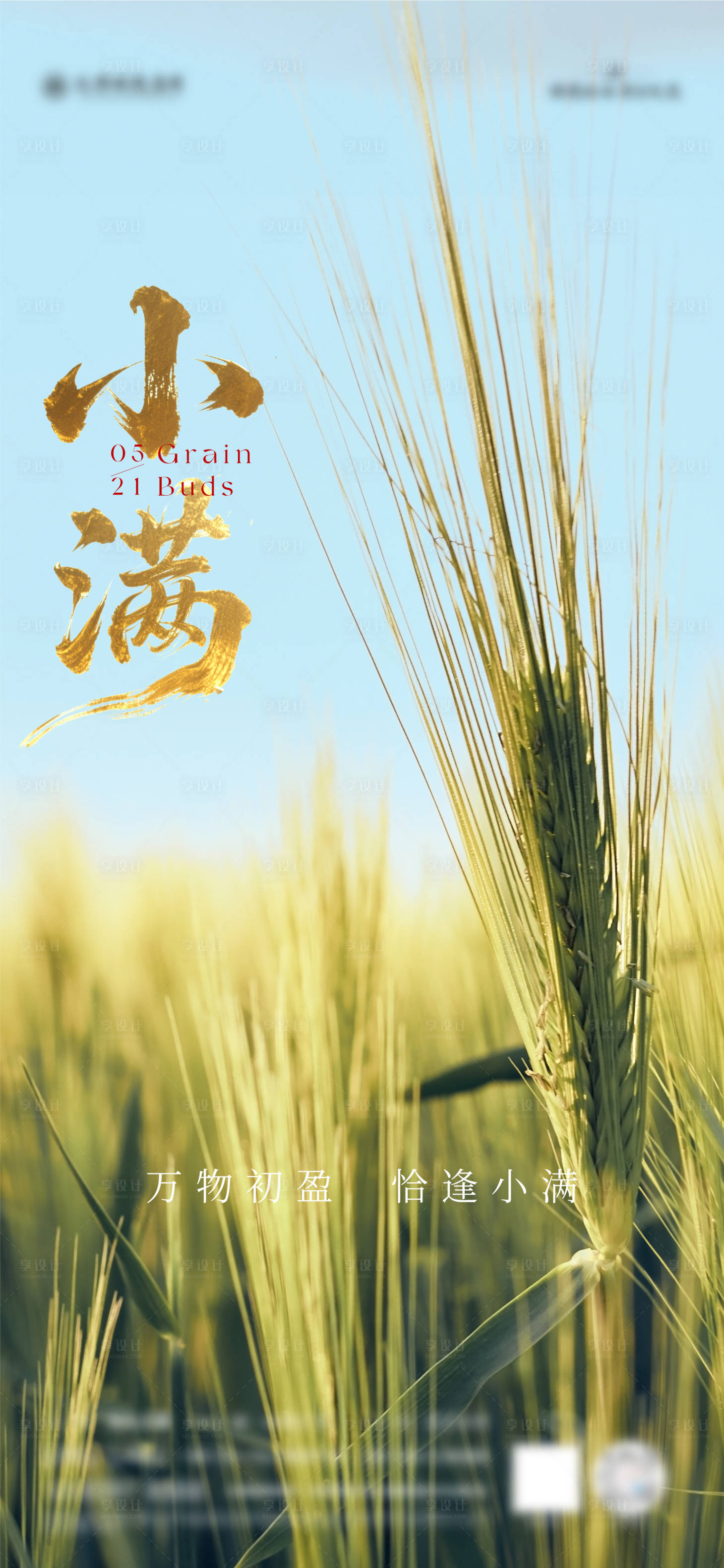 源文件下載【享設計】搜索編號：19780030776906952【小滿節氣海報】