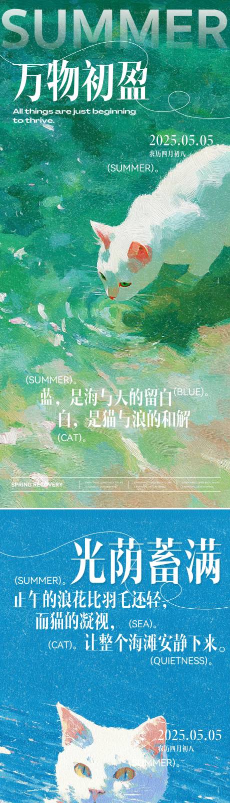 立夏猫咪海边插画治愈系海报