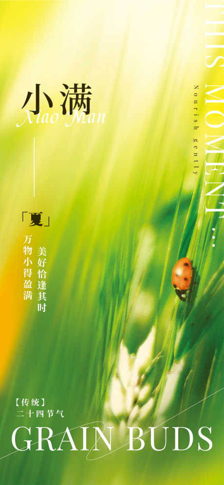源文件下载【小满】编号：46000030751672533