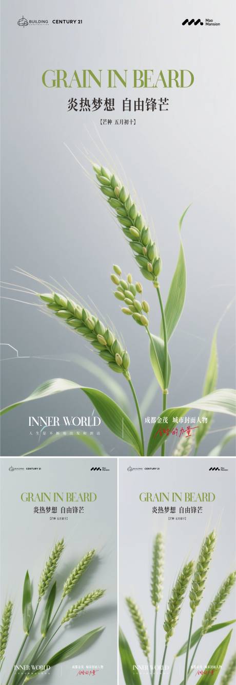 源文件下載【地產(chǎn)芒種節(jié)氣系列海報(bào)】編號(hào)：15760030857902209