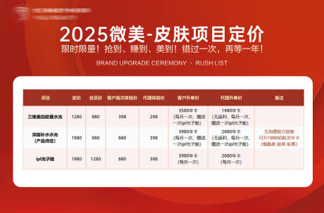 源文件下载【医美皮肤项目表格】编号：19430031065598811
