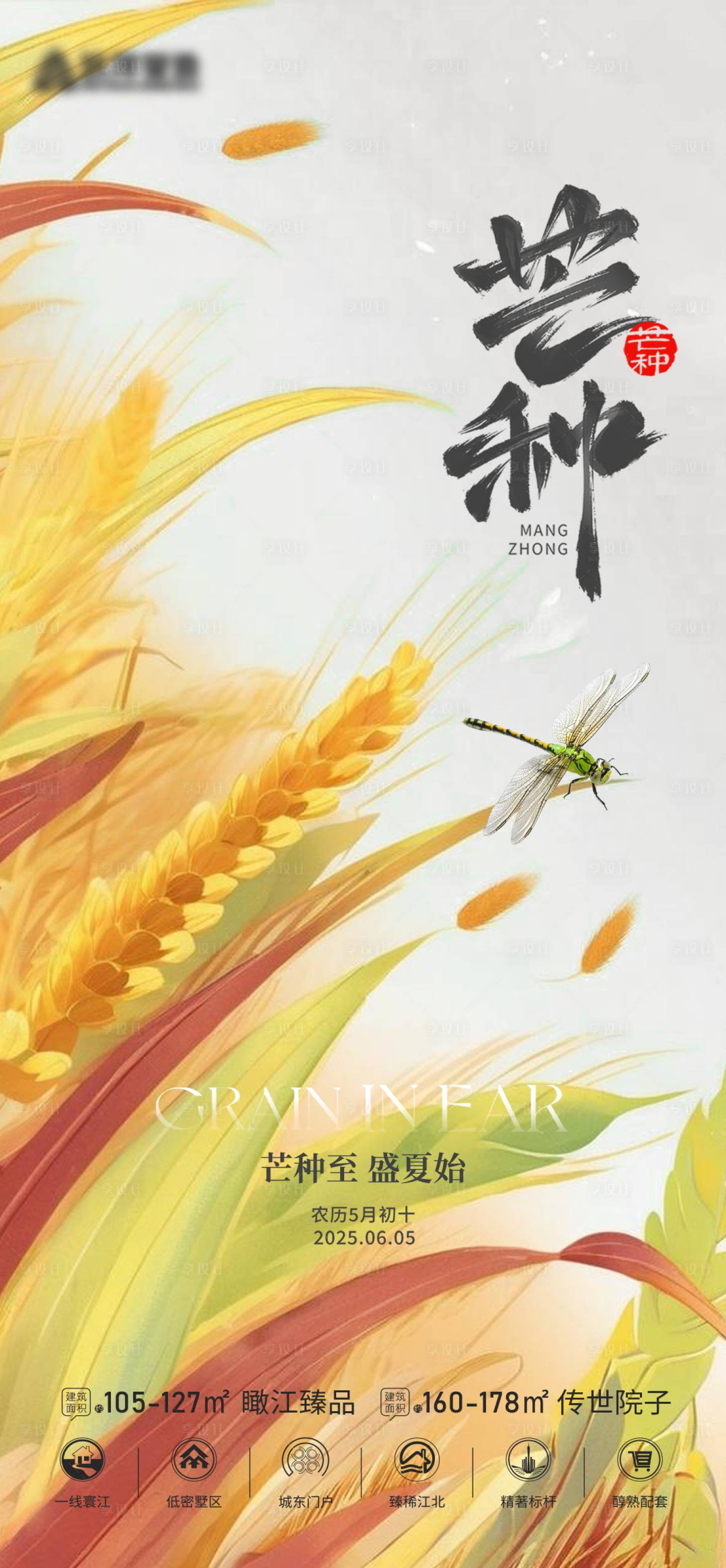 源文件下载【享设计】搜索编号：17730031074187655【芒种节气海报】