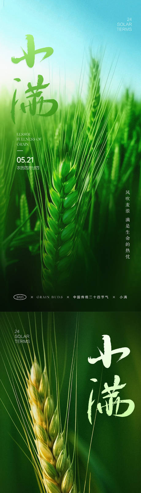 源文件下载【小满节气系列海报】编号：98690030579055912