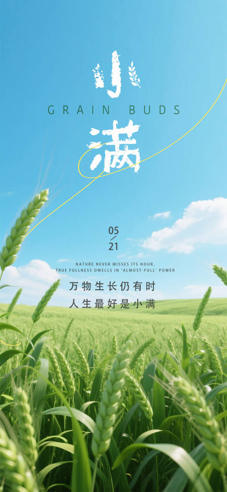 源文件下载【享设计】搜索编号：40480030825155906【小满节气海报】