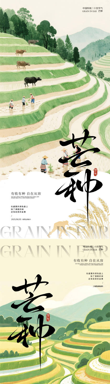 源文件下载【芒种二十四节气海报】编号：58460030936695271