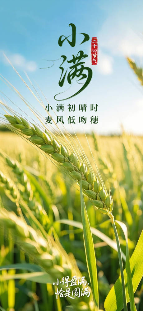 源文件下载【小满节气海报】编号：72740030673282903