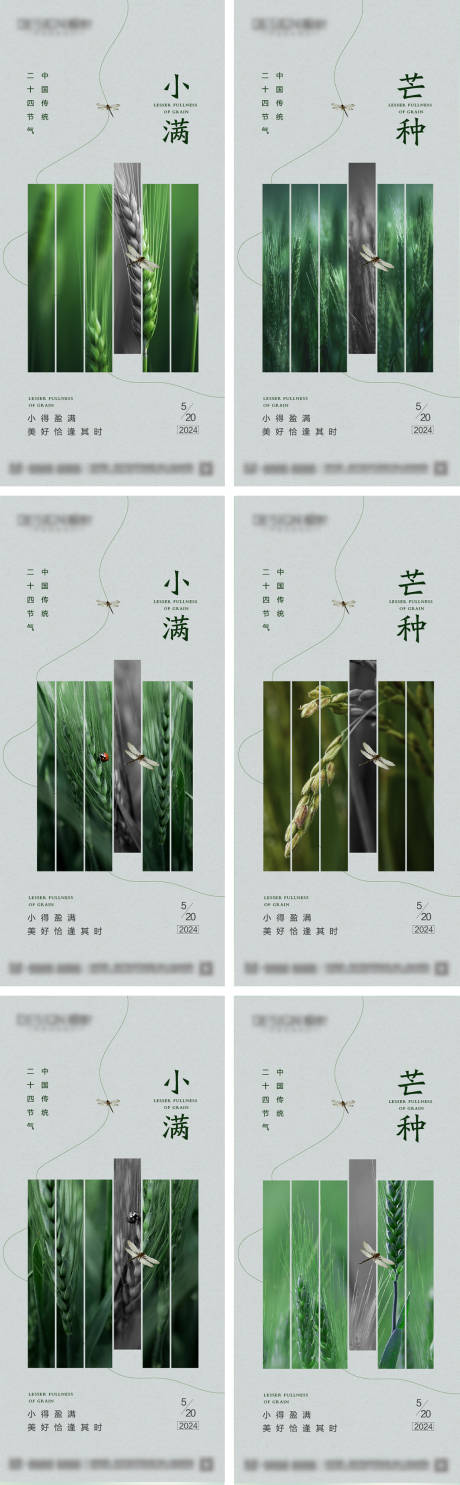 地产小满芒种节气海报