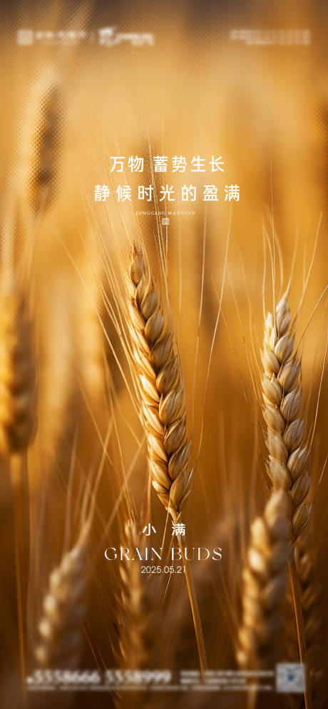 源文件下載【地產小滿海報】編號：14630030880855358