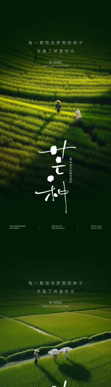源文件下载【享设计】搜索编号：53590031096749556【芒种节气海报】