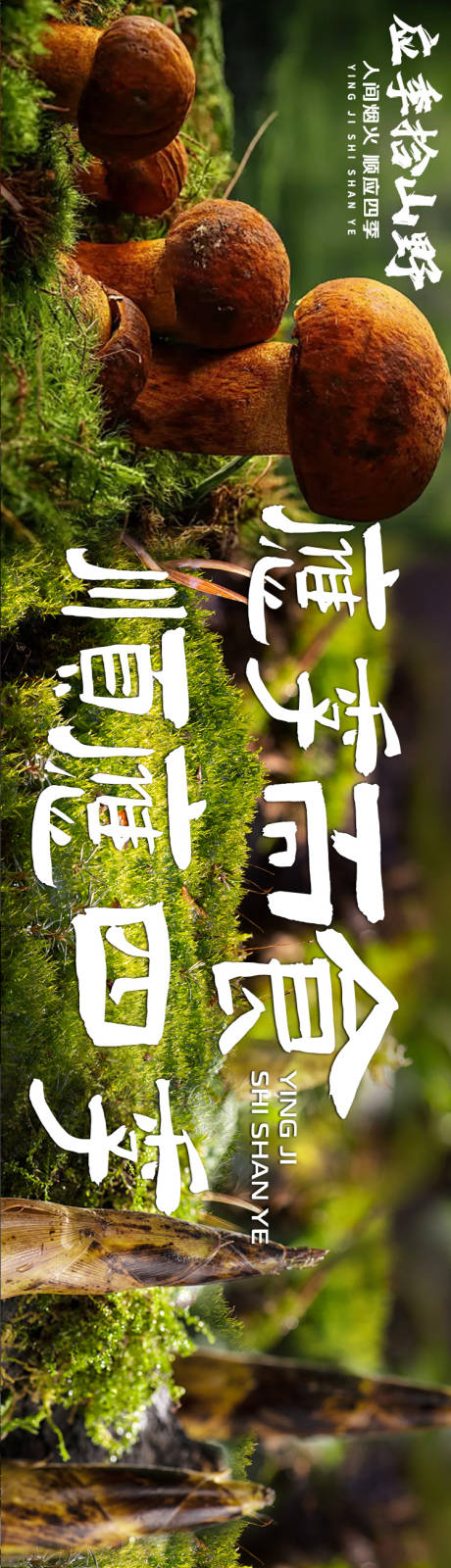 源文件下载【大众点评云南野生菌五连图长图设计】编号：74350031275412569