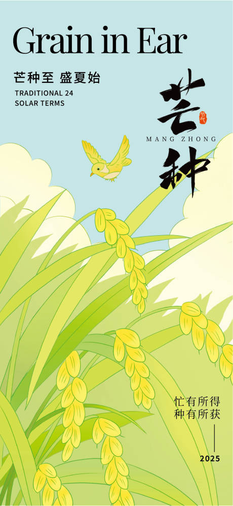 手绘风芒种主题海报