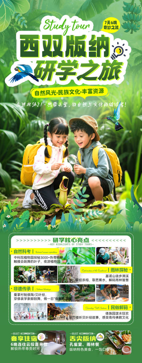 源文件下载【西双版纳研学之旅7日游海报】编号：92550031326437549