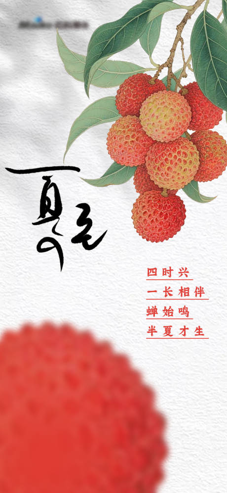 源文件下载【夏至节气海报】编号：42770031450236986