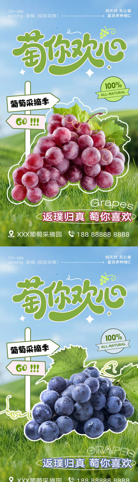 源文件下载【享设计】搜索编号：94170031604117870【水果葡萄宣传海报】