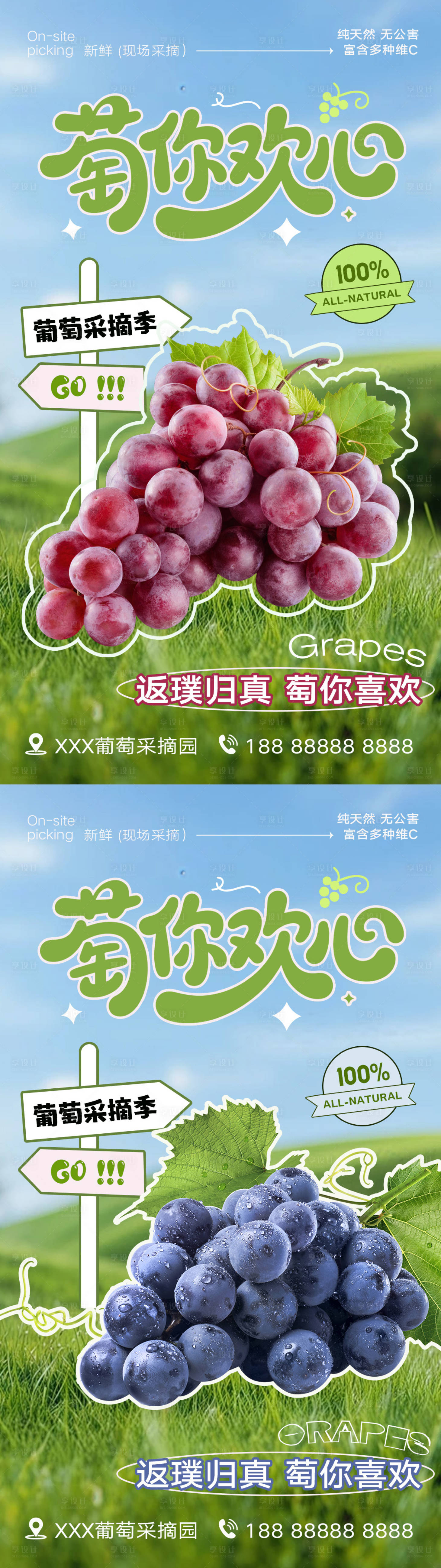 源文件下载【享设计】搜索编号：94170031604117870【水果葡萄宣传海报】