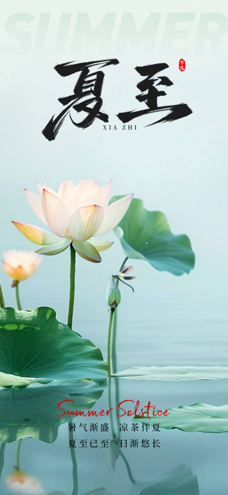 夏至节气海报