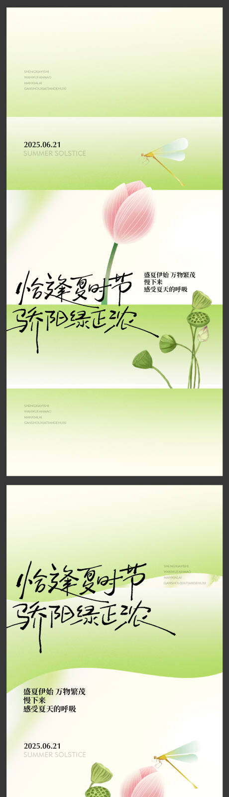 夏至节气蜻蜓荷花荷叶简约高级微单