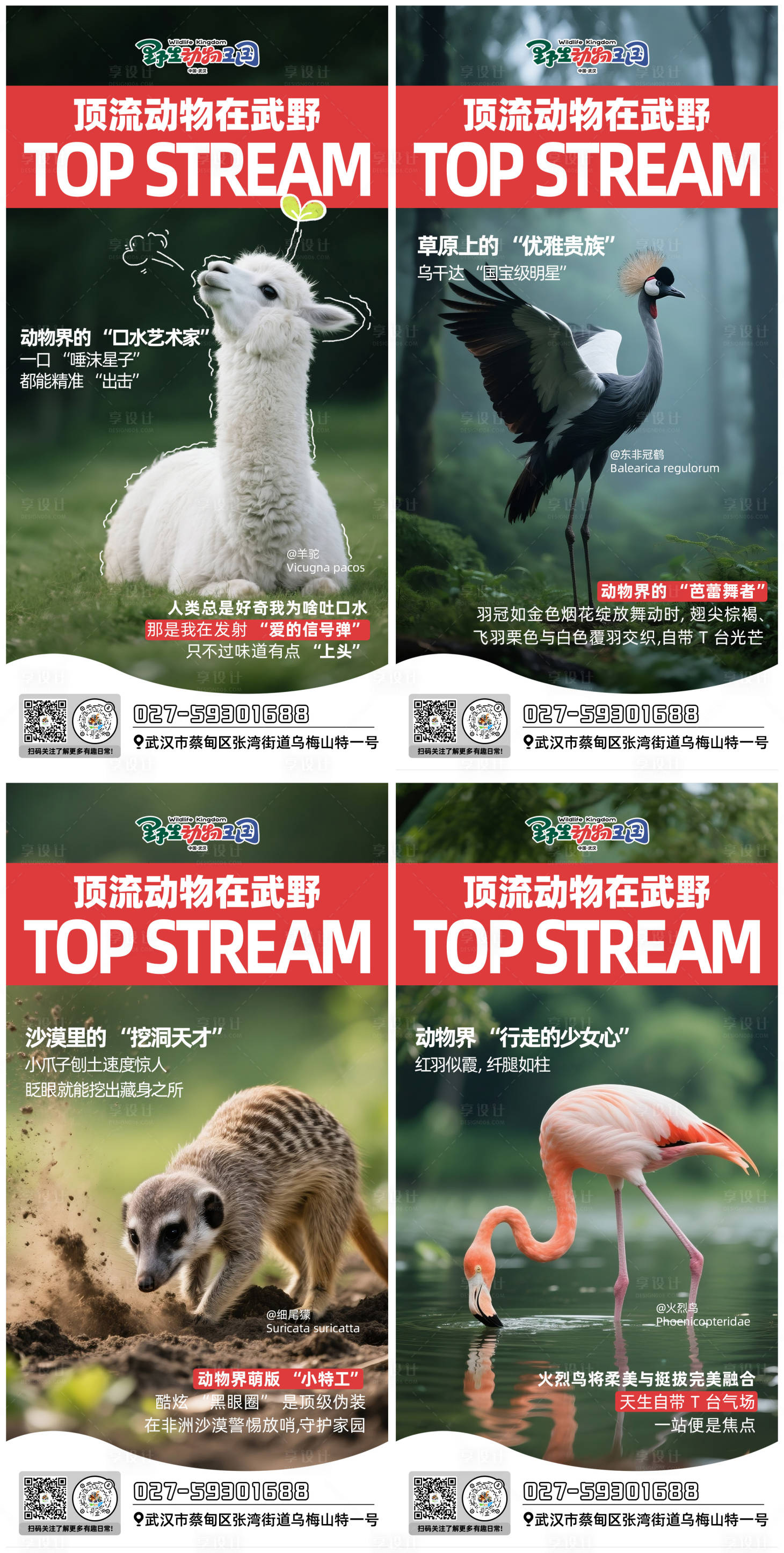 源文件下载【享设计】搜索编号：10300031426025989【动物系列海报】