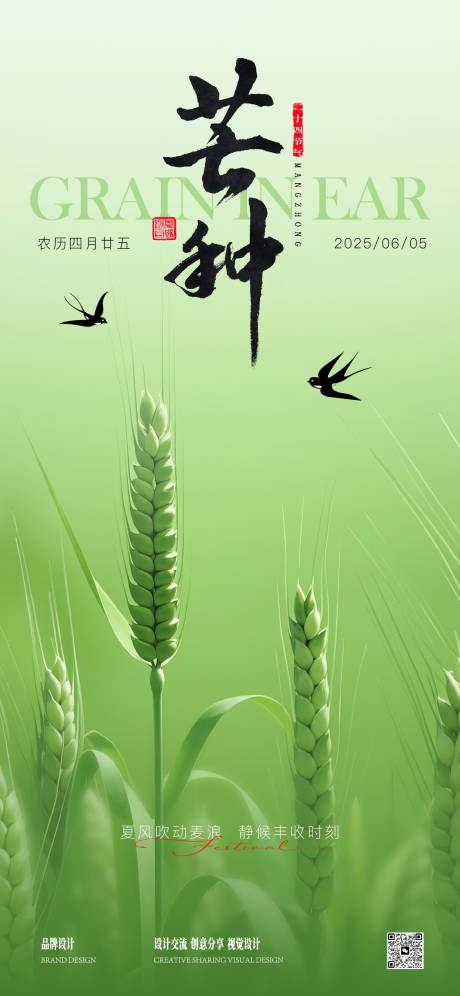 芒种节气稿