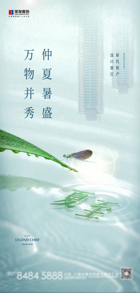 夏至节气海报