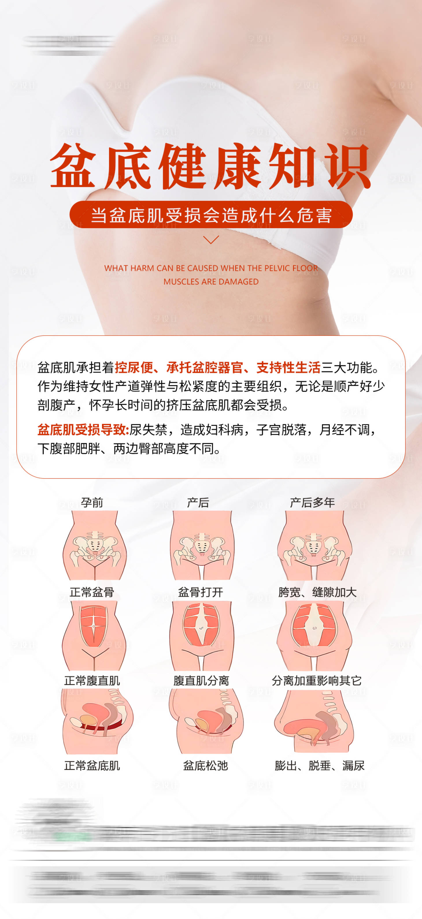 源文件下载【享设计】搜索编号：85970031374543611【私密科普海报】