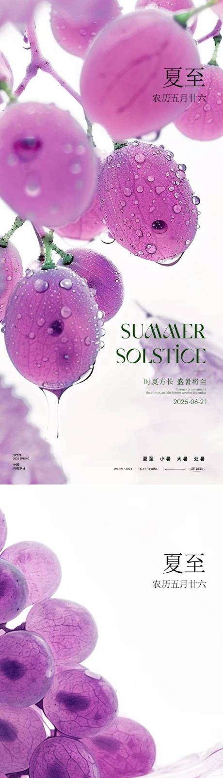 源文件下載【享設(shè)計(jì)】搜索編號(hào)：91420031350184078【夏至節(jié)氣果實(shí)海報(bào)】