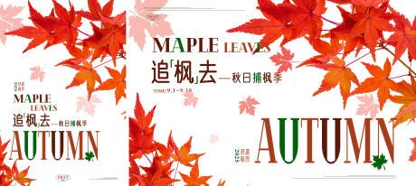 源文件下载【秋季枫叶主题背景板】编号：39560031388595143