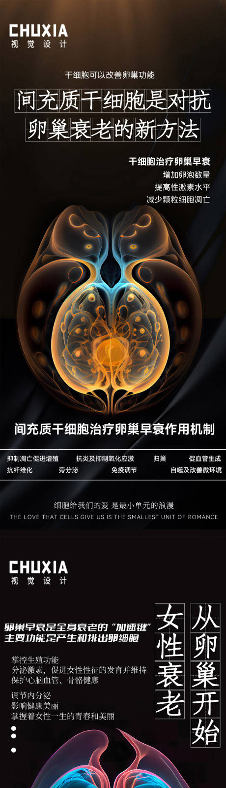 源文件下載【干細胞與卵巢早衰】編號：85620031209423128