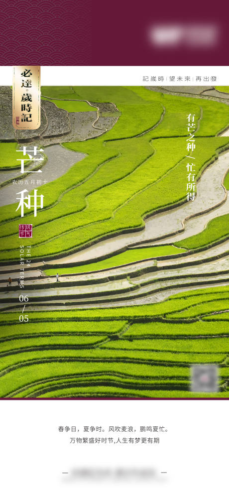 源文件下载【芒种海报】编号：16050031120469747