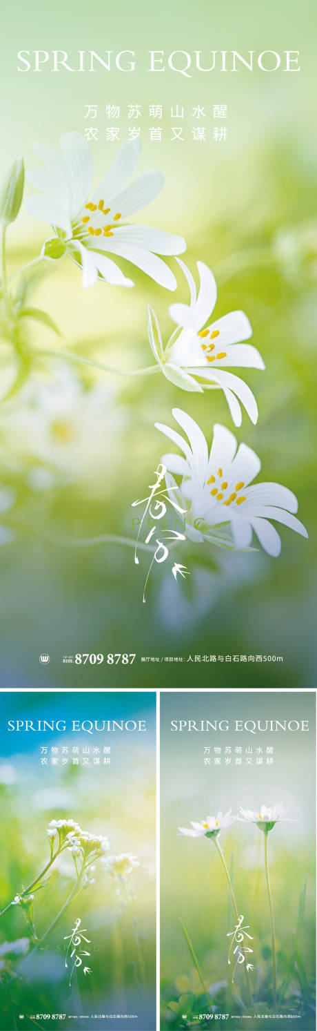 源文件下载【春分春天花朋友圈单图海报二十四节气】编号：71330031555465557