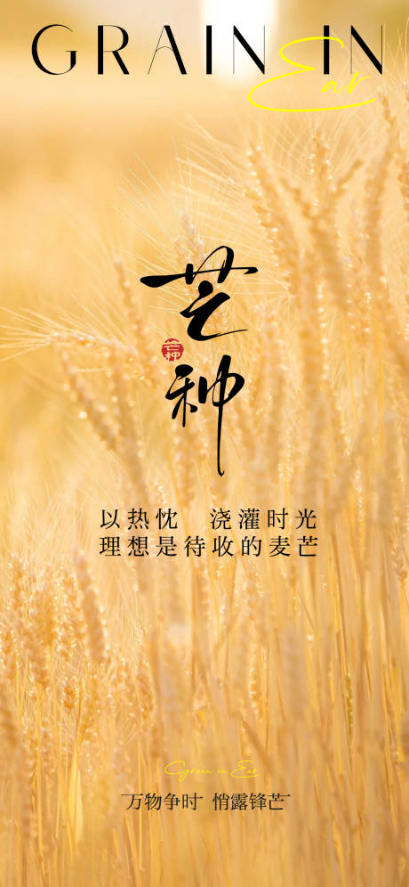 源文件下载【芒种节气单图图片海报】编号：65690031147758780
