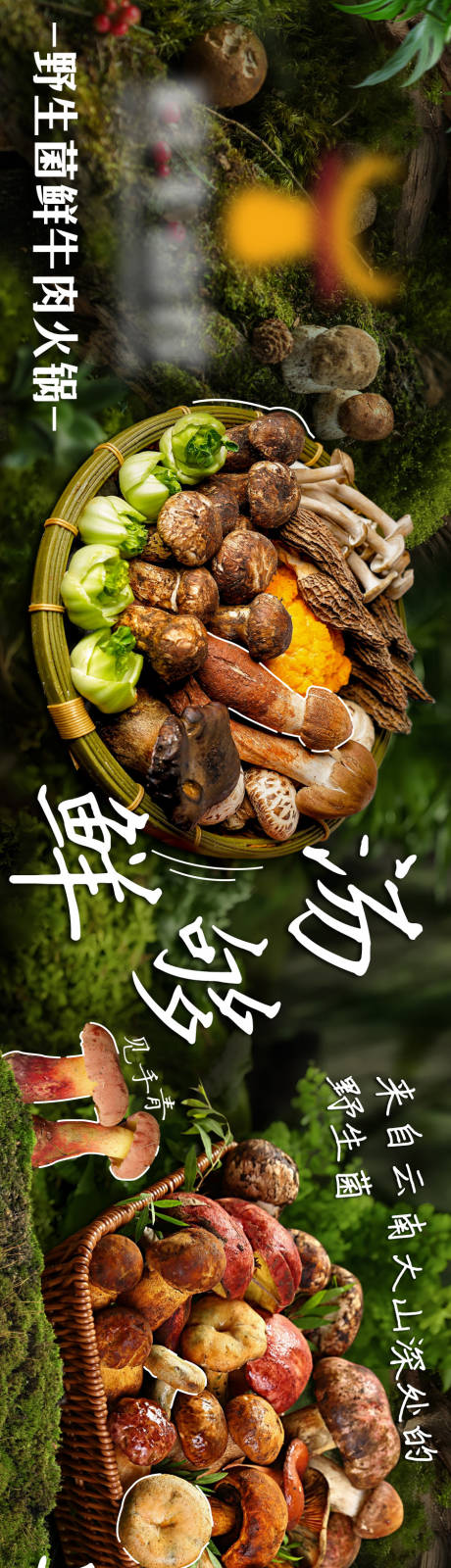 源文件下載【夏季菌子五圖】編號：31960031391434665