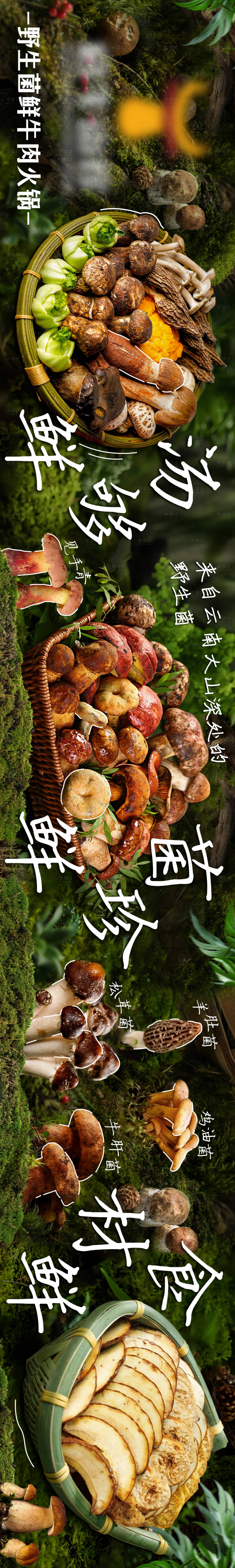 源文件下载【享设计】搜索编号：31960031391434665【夏季菌子五图】