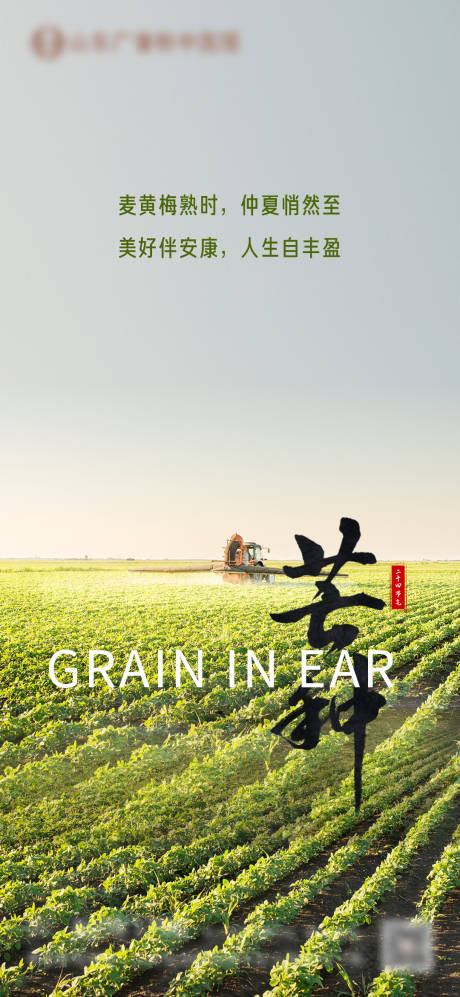 源文件下载【芒种海报】编号：18550031161309078