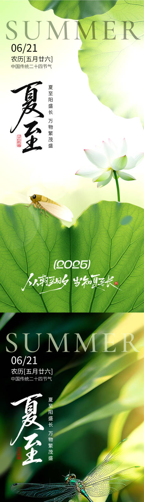 源文件下载【夏至节气系列海报】编号：13540031324001876
