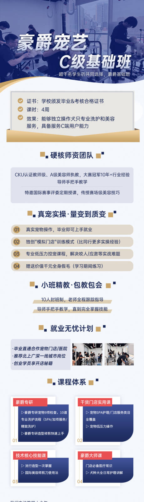源文件下载【享设计】搜索编号：98750031205896829【宠物艺术培训班长图海报】