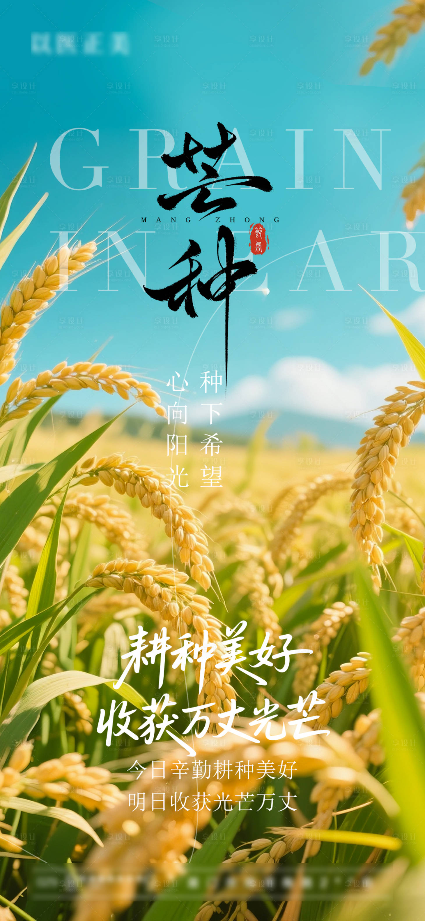 源文件下載【享設(shè)計(jì)】搜索編號(hào)：98500031096249710【芒種節(jié)氣海報(bào)】