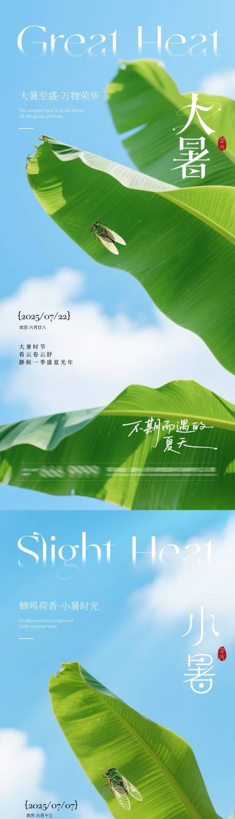 源文件下载【地产大暑小暑芭蕉叶系列海报】编号：72010031640805272